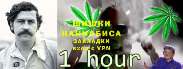 ПСИЛОЦИБИНОВЫЕ ГРИБЫ Верхнеуральск