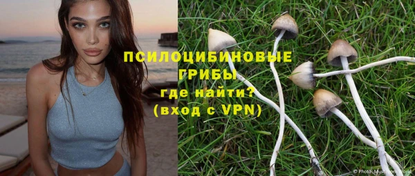 МДПВ Волоколамск