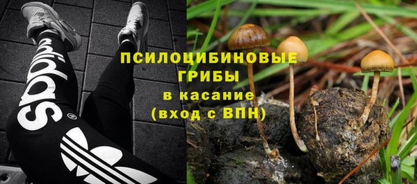 ПСИЛОЦИБИНОВЫЕ ГРИБЫ Верхнеуральск